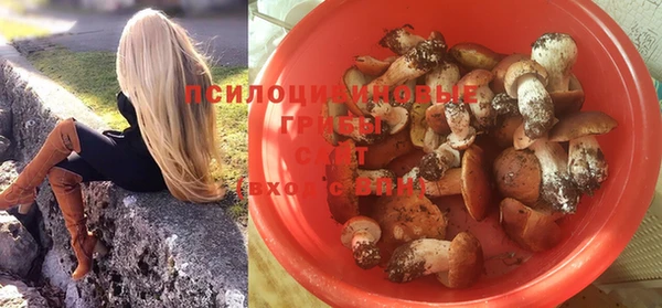 прущая мука Арсеньев