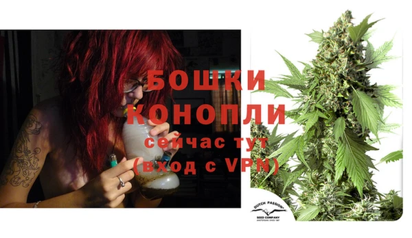 MESCALINE Аркадак