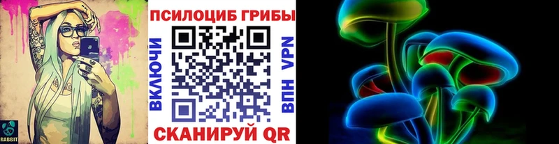Псилоцибиновые грибы мицелий  Зея 